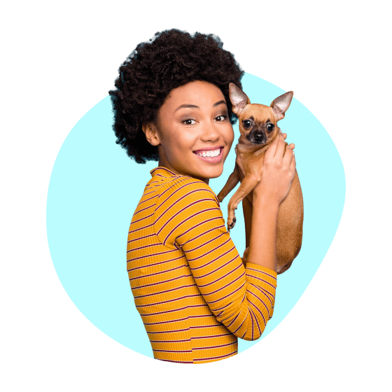 Pet Sitting